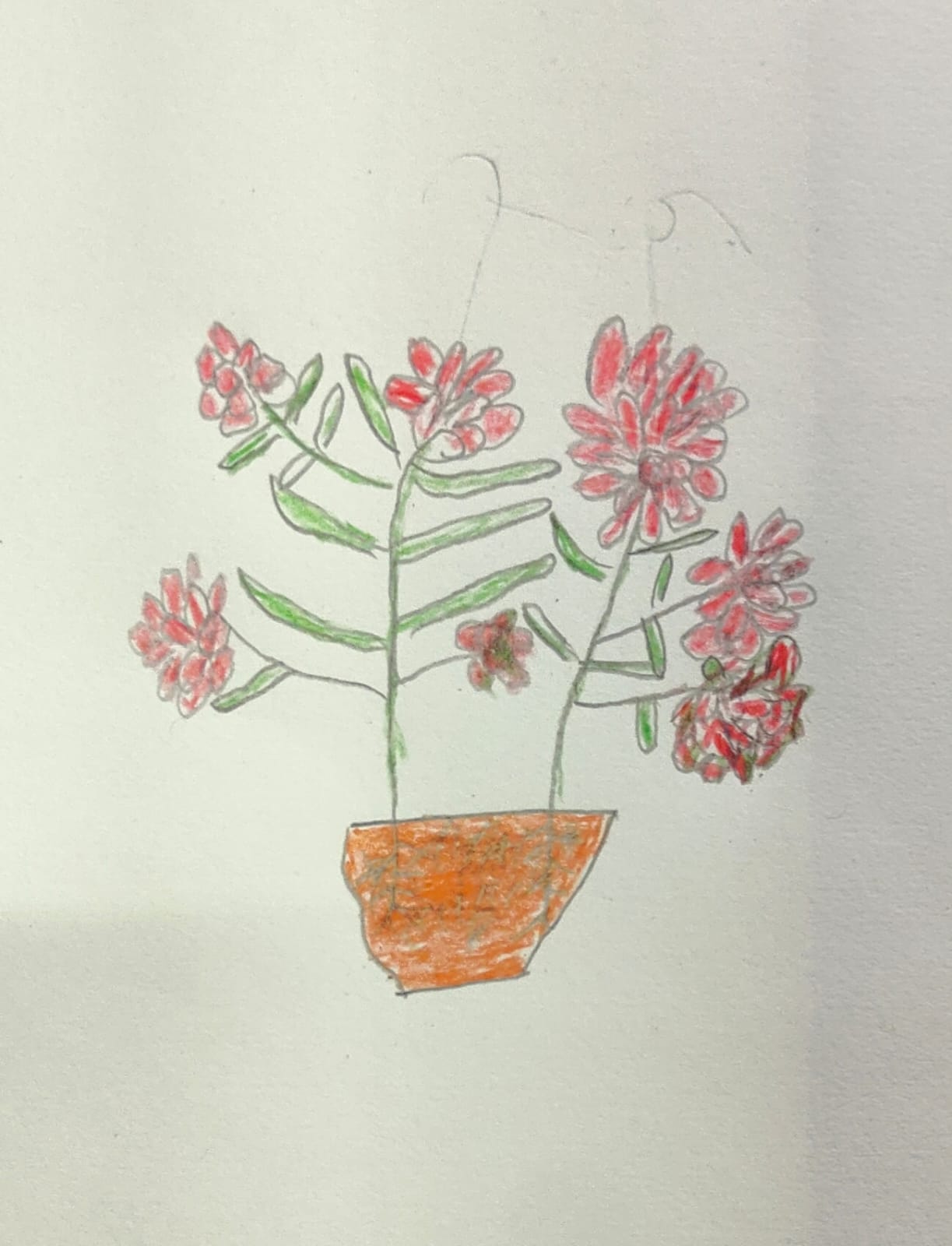 the sight of flowers