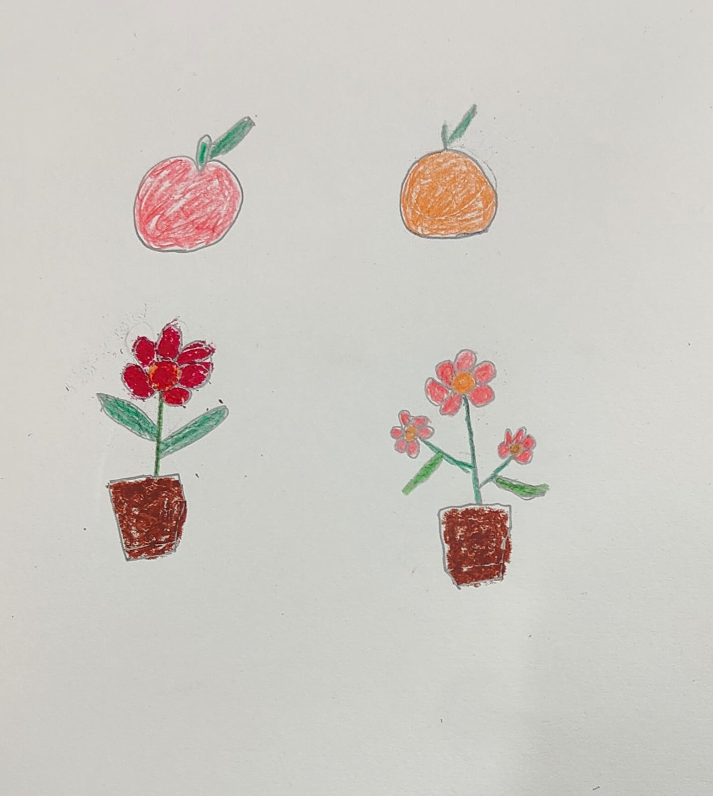 flowers and fruits