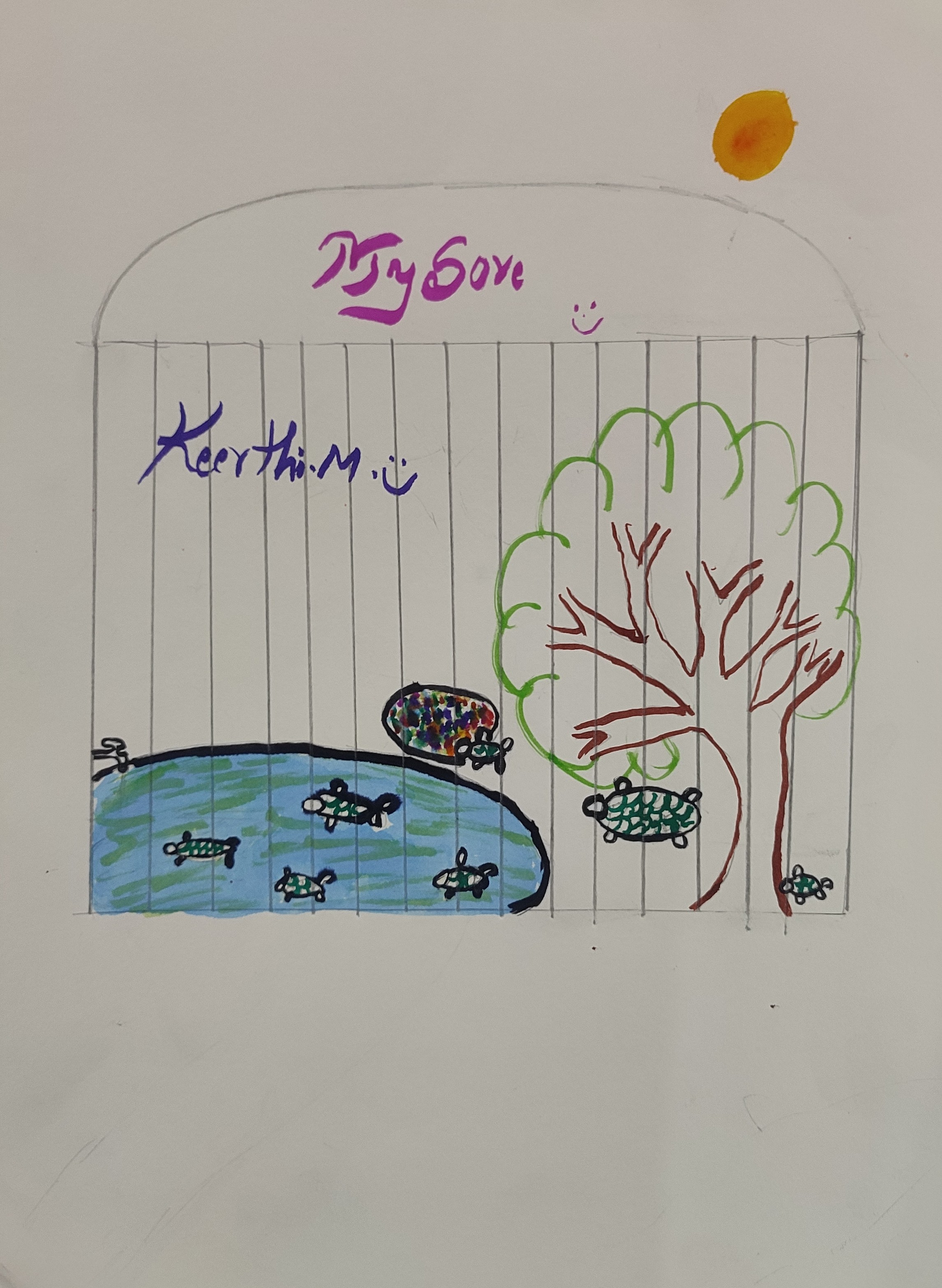 Turtles Eating and Drinking