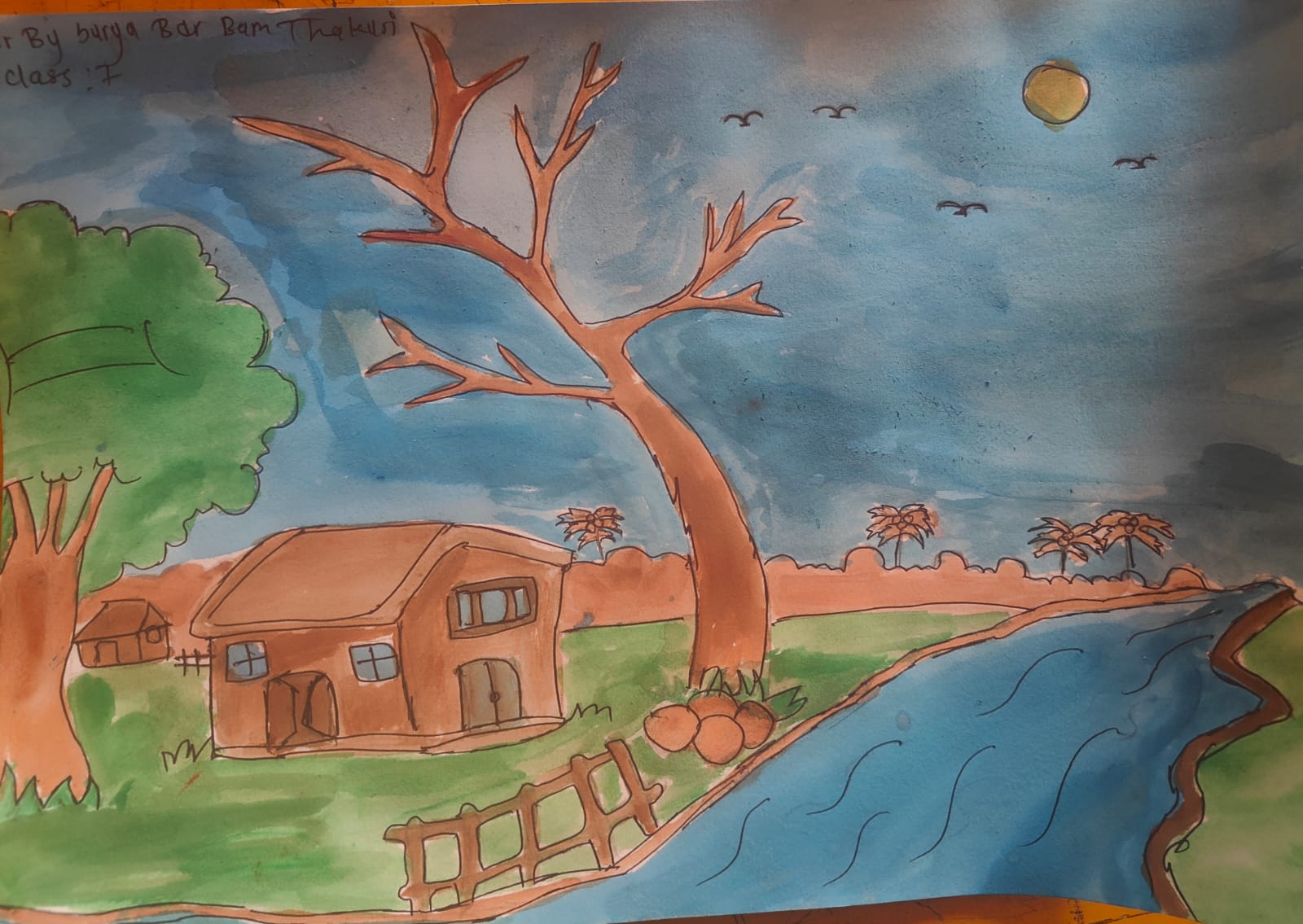 the birds and the nature