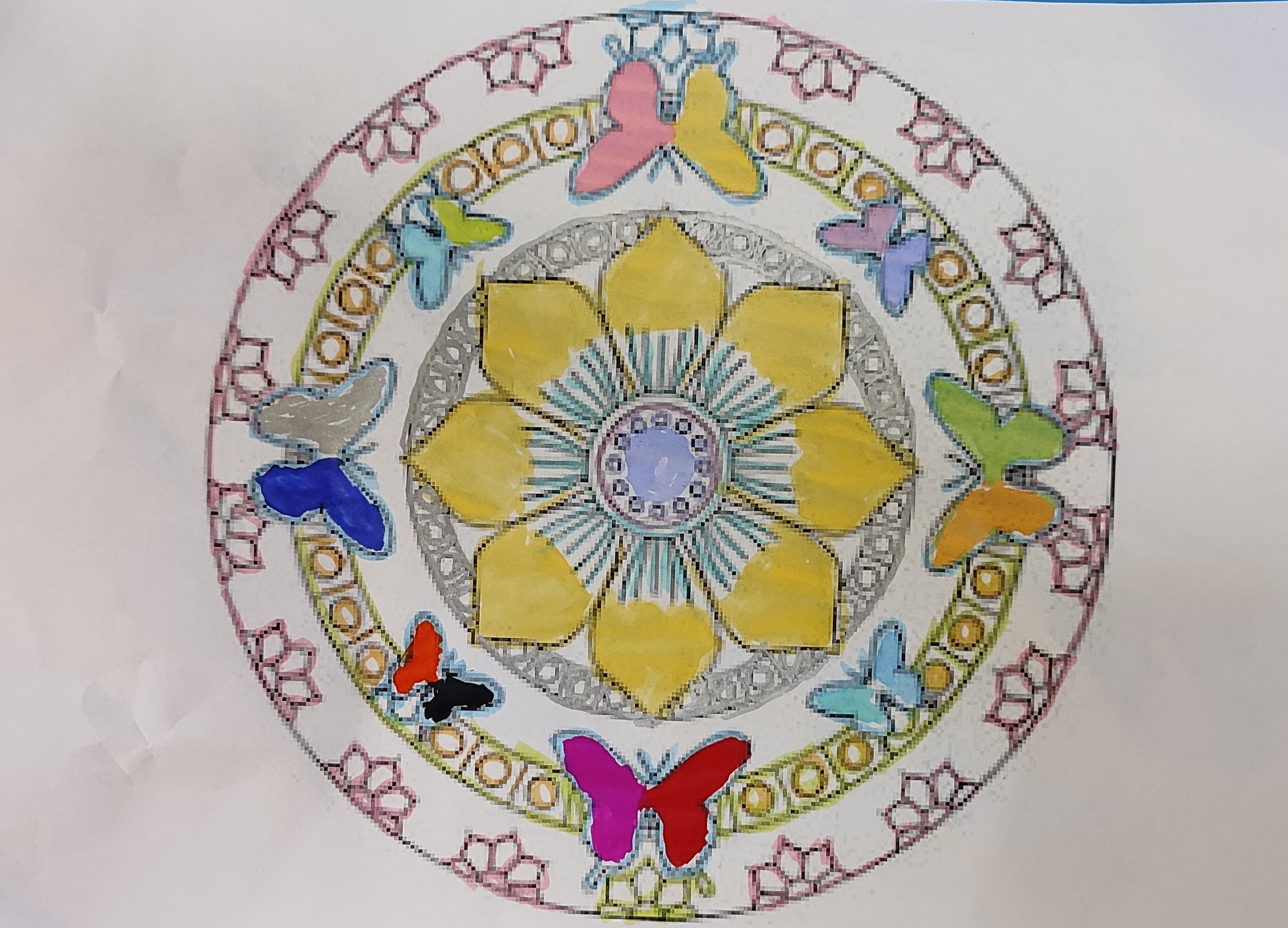 Butterflies in my Stomach